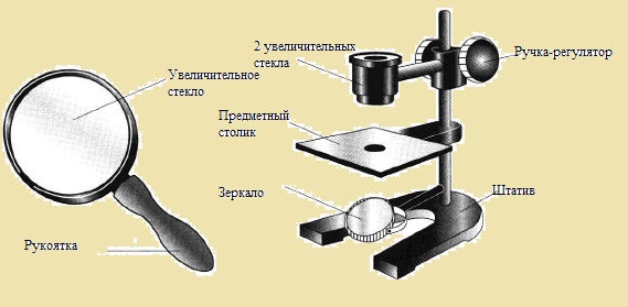 После изучения устройства ручной и штативной луп